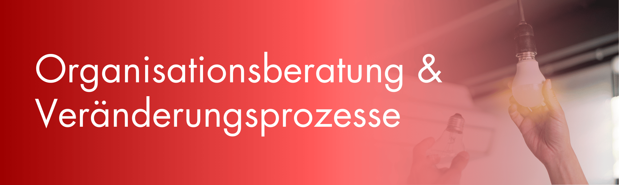 Organisationsberatung & Veränderungsprozesse